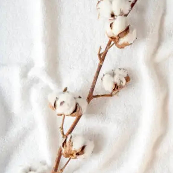 Fondant parfumé FLEUR DE COTON