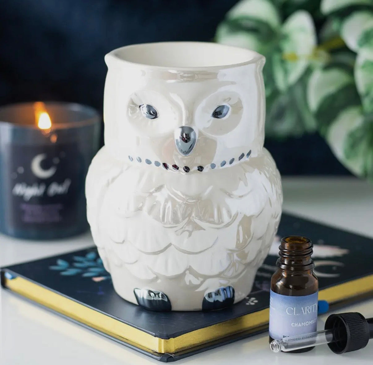 Brule parfum Hiboux